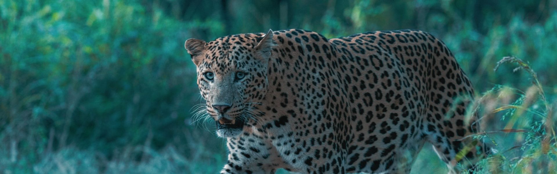 Sawai Madhopur sightseeing